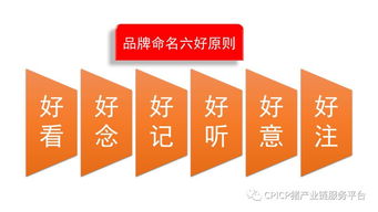 肖一刀 從無到有，打造豬肉品牌的戰略與啟示