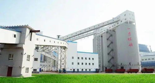 黃陵礦業(yè)一號(hào)煤礦選煤廠 開啟礦產(chǎn)與化工制品的智能化新篇章